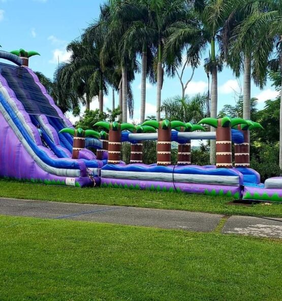 inflable_24_x_60_violeta_123_jumping