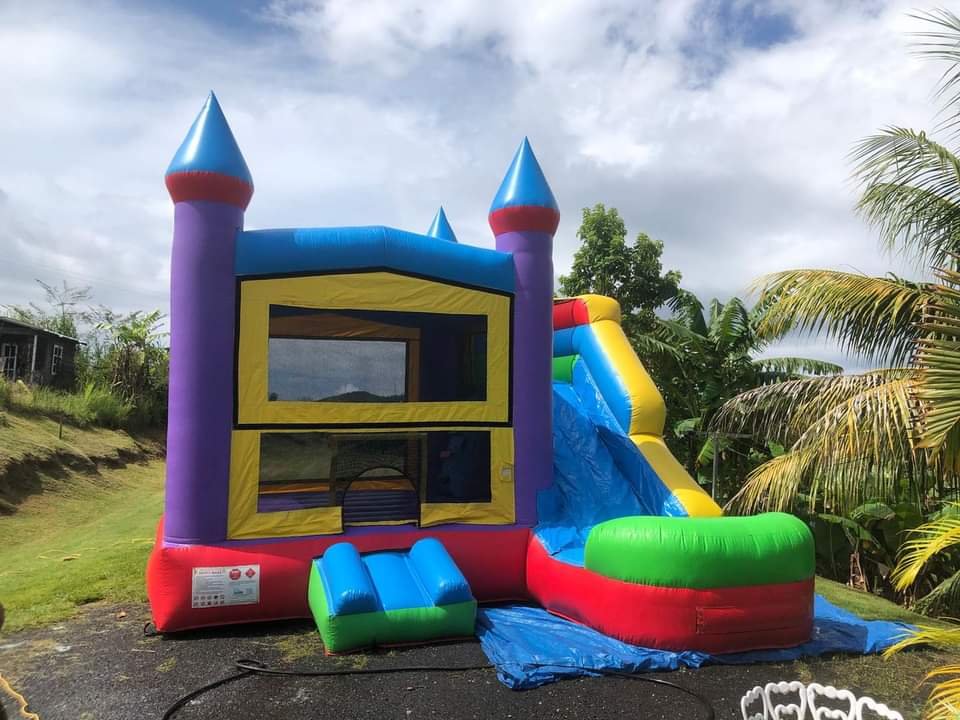 inflable_violet_castle_123_jumping