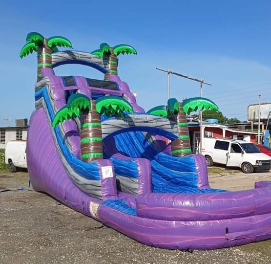 inflable_tropical_violet_123_jumping