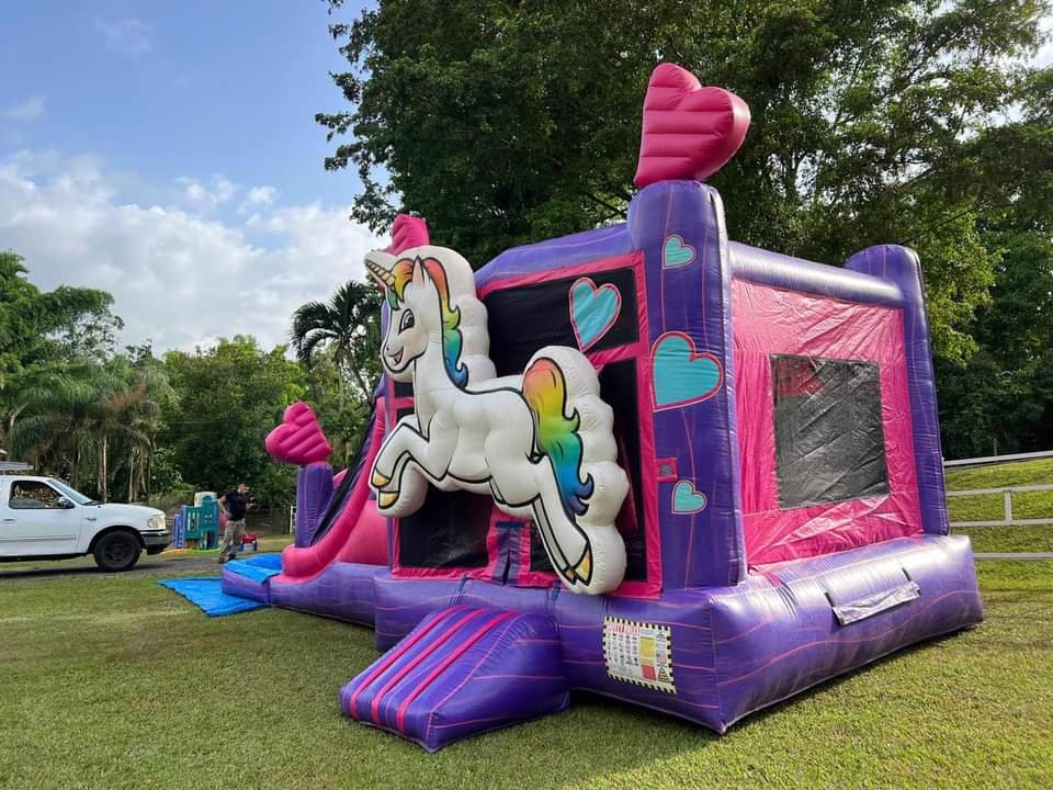 inflable_unicorn_bouncing_123_jumping