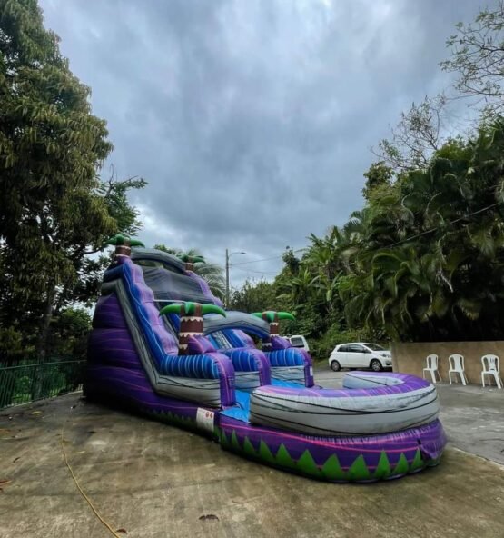 inflable_tropical_purple_123_jumping